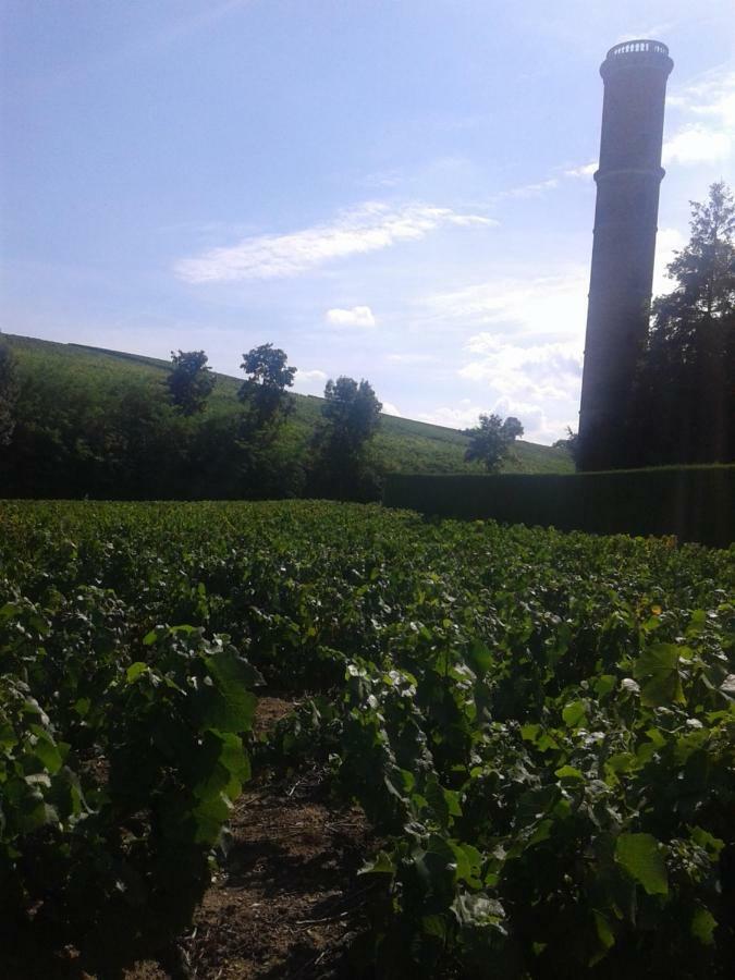 La Maison des Vignes - petits déjeuners continental Charentay Exterior foto